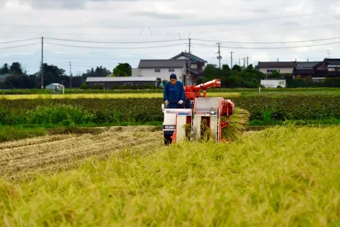 日本の現場で働く人