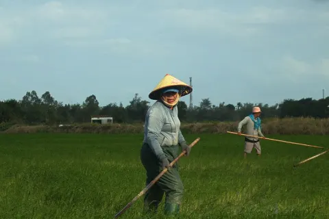 日本の現場で働く人