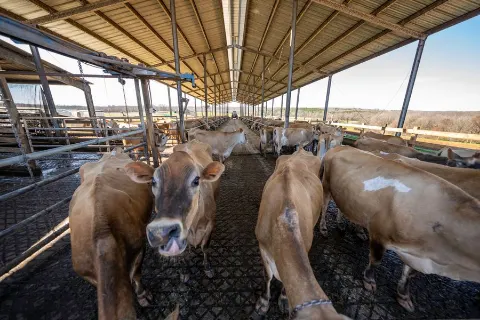 日本の現場で働く人